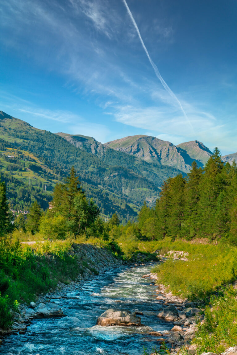 A vertical shot of a river on background of fir trees and mountains