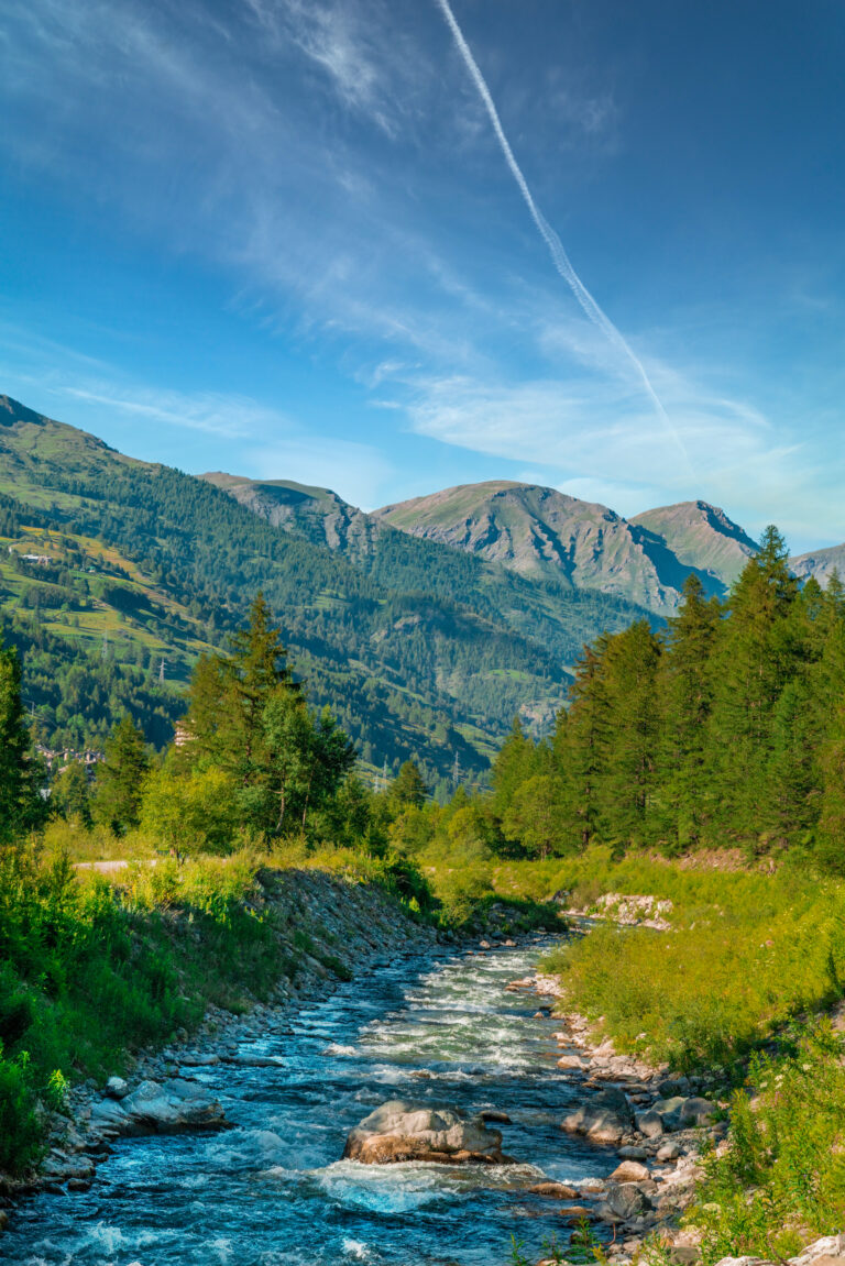 vertical shot river background fir trees mountains