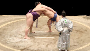 Watching Sumo Wrestlers