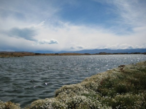 Laguna Nimez