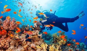 The Red Sea: A Paradise for Divers