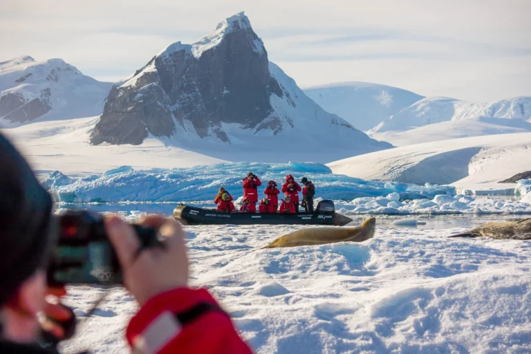 5 Common Misconceptions About Antarctica—Debunked!