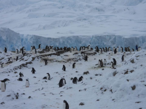 Misconceptions About Antarctica